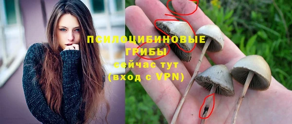 ECSTASY Володарск